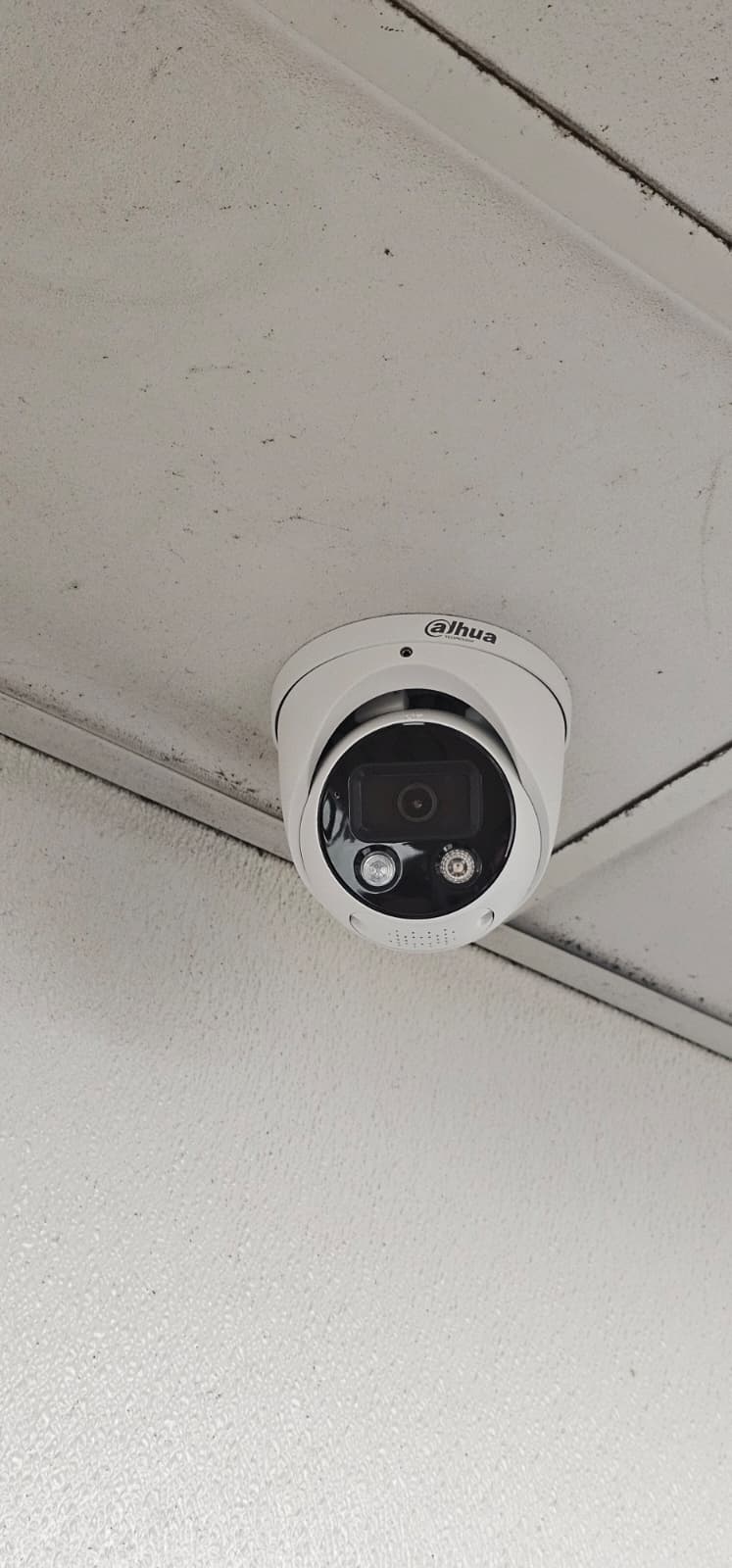 PHOTO-2025-11-21-11-16-41