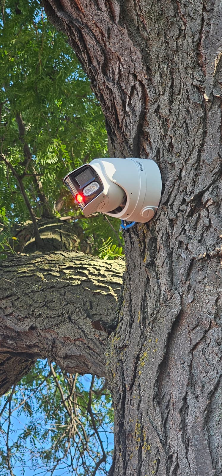 PHOTO-2025-11-21-11-21-55