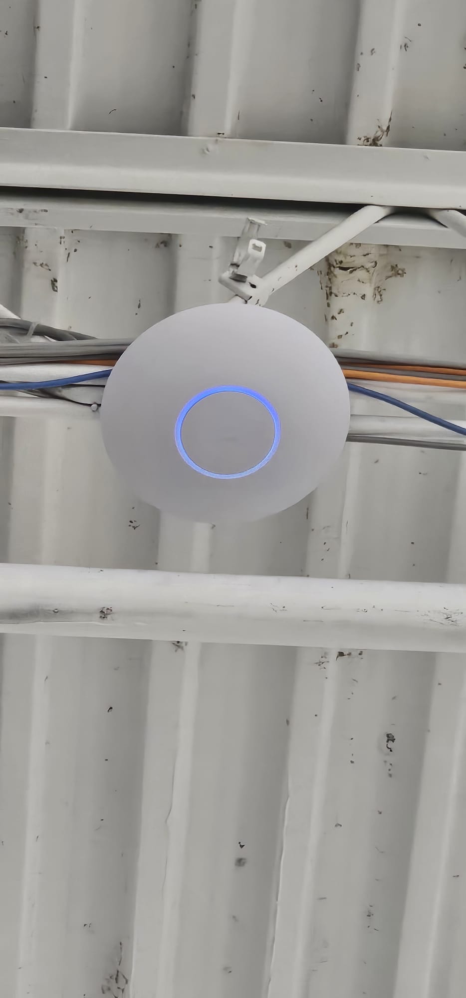 PHOTO-2025-11-21-11-26-17 2