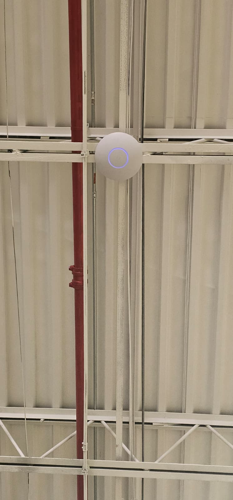 PHOTO-2025-11-21-11-26-17