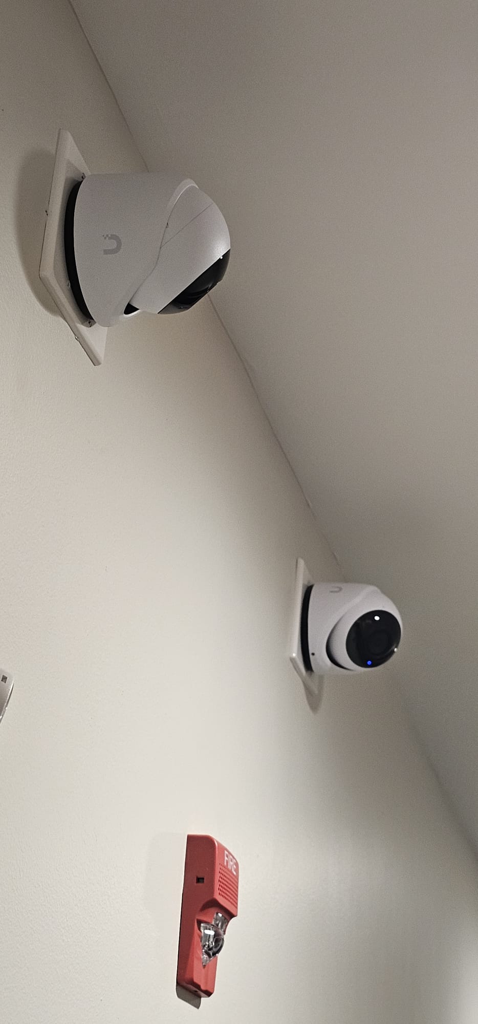 PHOTO-2025-11-21-11-28-02