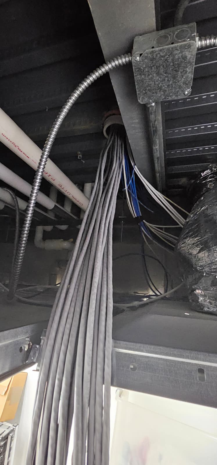 PHOTO-2025-11-21-11-32-23