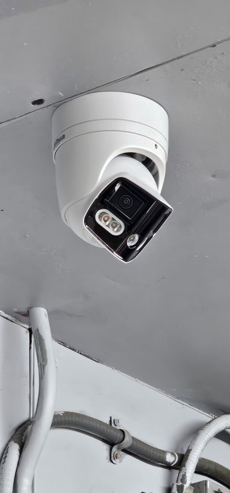 PHOTO-2025-11-21-11-51-37 3